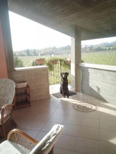 Ferienwohnung Uno Sguardo Sulla Valpolicella Pedemonte Exterior foto