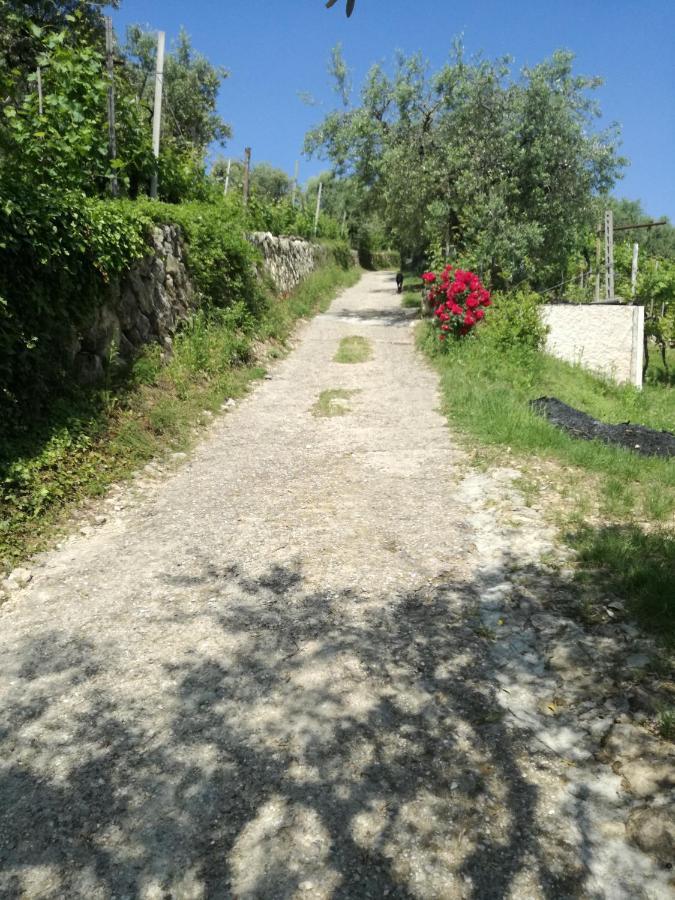 Ferienwohnung Uno Sguardo Sulla Valpolicella Pedemonte Exterior foto